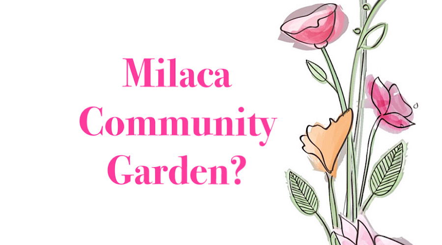 Interested in a Milaca Community Garden? Dr. Christine Schlenker