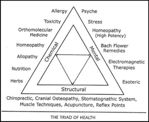 Applied kinesiology triad of health