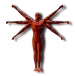 Applied kinesiology
